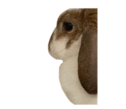 839299965