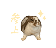 839299966