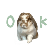 839299969