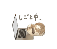 839299970