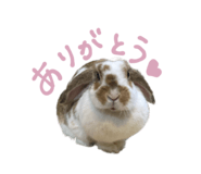 839299974