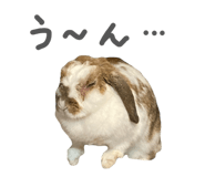 839299980