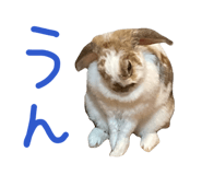 839299982