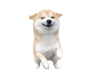 839300201