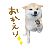 839300202