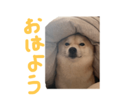839300203