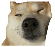 839300204