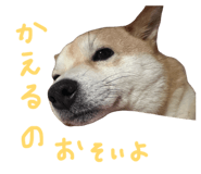 839300205