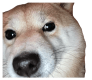 839300208