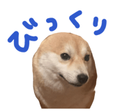 839300209