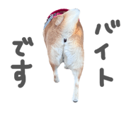 839300210