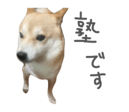 839300211