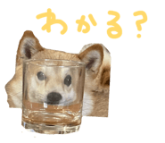 839300212