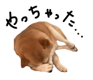 839300213
