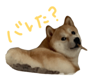 839300214