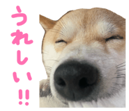 839300215