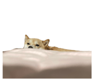 839300217