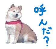 839300218