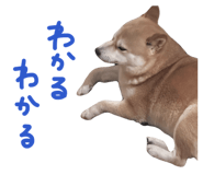 839300219