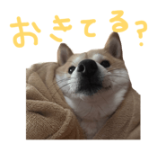 839300220