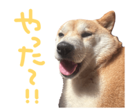 839300221