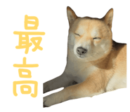 839300223