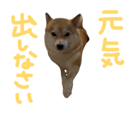839300224