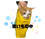 839300280