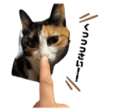 839300288