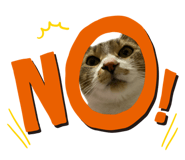 839300300