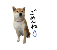 839300711