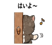 839300854