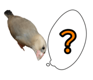 839300941