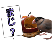 839300943