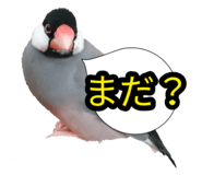 839300945