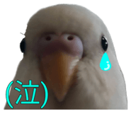 839300946
