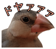 839300947