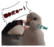 839300948