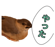 839300950