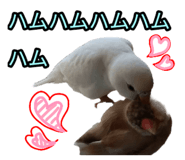 839300954