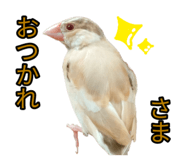 839300955