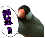 839300956