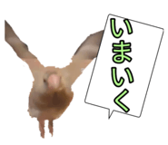 839300957