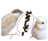 839300961