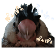 839300962