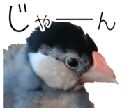839300965