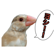 839300966