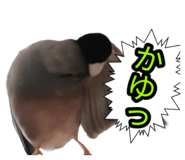 839300970