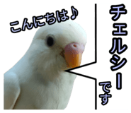 839300974