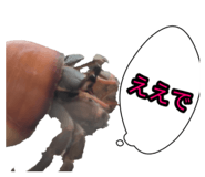 839300975